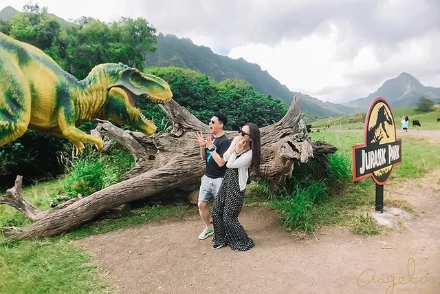 Waikiki to Kualoa Ranch Private Transfer - Image 2