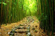 Maui Hana Hiking Tour with Lunch thumbnail 2