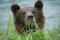 Haines Private Nature and Photography Tour thumbnail 3