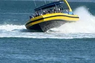 San Francisco RocketBoat Bay Adventure thumbnail 4