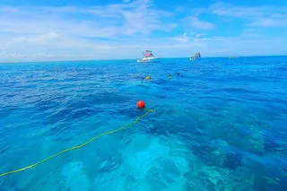 Key Largo Private Snorkel Tour