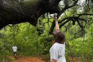Austin Safari Hike thumbnail 3