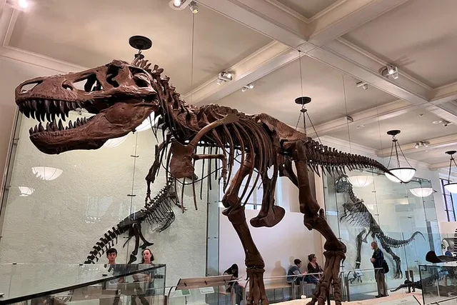 New York Museum Combo Tour - Image 2