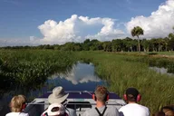Fort Myers Everglades Adventure Tour thumbnail 3