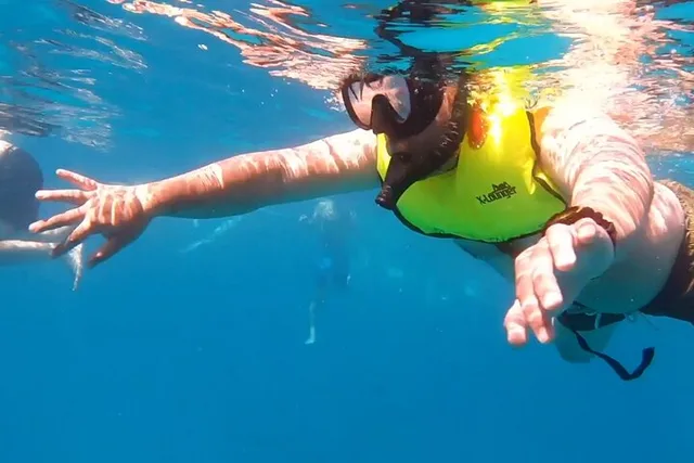 Honolulu Turtle Snorkeling Tour - Image 5