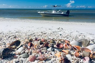 Fort Myers Beach Shelling Tour