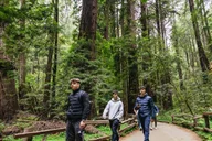 San Francisco Muir Woods and Sausalito Tour thumbnail 6