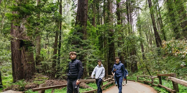 San Francisco Muir Woods and Sausalito Tour - Image 6