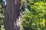 Lopez Island Canopy Climb at Sunset 4 hr thumbnail 6
