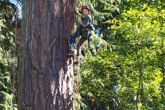 Lopez Island Canopy Climb at Sunset 4 hr - Image 6