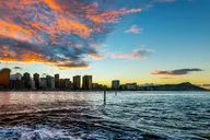 Honolulu Whale Watching and Sunrise Breakfast Cruise thumbnail 4