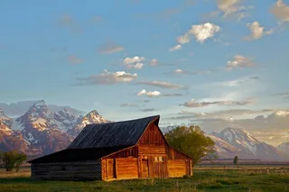 Jackson Hole Sunrise Wildlife Safari
