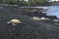 Kona Adventure Tour thumbnail 5