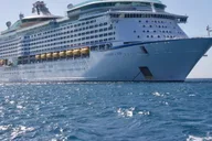 Boston Airport Transfer to Flynn Cruise Port thumbnail 3