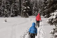South Lake Tahoe Snowshoe Tour with Local Guide thumbnail 3