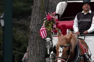 New York Central Park Horse Carriage Holiday Tour thumbnail 3