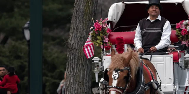 New York Central Park Horse Carriage Holiday Tour - Image 3