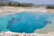Cody Yellowstone National Park Full-Day Tour thumbnail 4