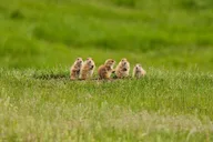 South Dakota Private Sightseeing Tour thumbnail 2
