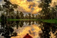 New Orleans Manchac Swamp Kayak Tour thumbnail 2
