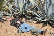 Newport Beach Scavenger Hunt thumbnail 4