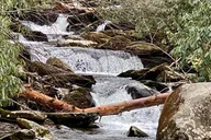 Great Smoky Mountains Hiking Tour thumbnail 5