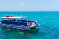 Key West Dolphin Watching and Snorkeling Eco Tour thumbnail 4