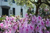Savannah Private Driving Tour thumbnail 3