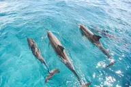 Waikiki Sunset Yacht Tour with Tasting thumbnail 5