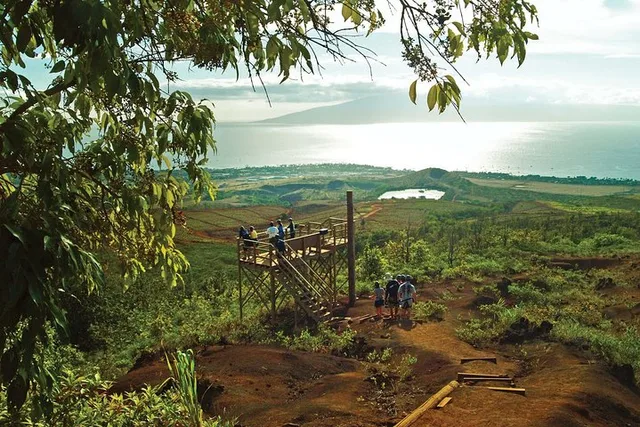 Maui Zipline Adventure - Image 2