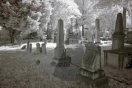 Denver Ghost Tour in Cheesman Park 90 min thumbnail 1