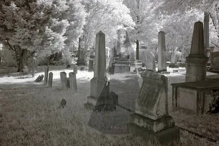 Denver Ghost Tour in Cheesman Park 90 min