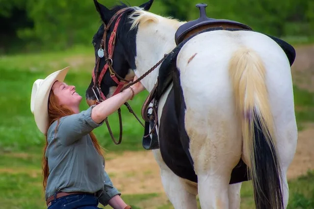 Memphis Horse Ride at Sunset - Image 4