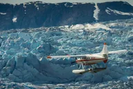 Juneau Taku Glacier Lodge Flight & Feast thumbnail 2