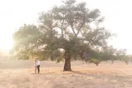 San Diego Photo Session with Local Photographer 30 min thumbnail 2