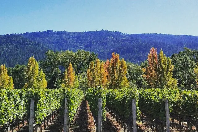 Napa Valley Wine Tour - Image 2