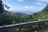 Honolulu Private Hike thumbnail 1