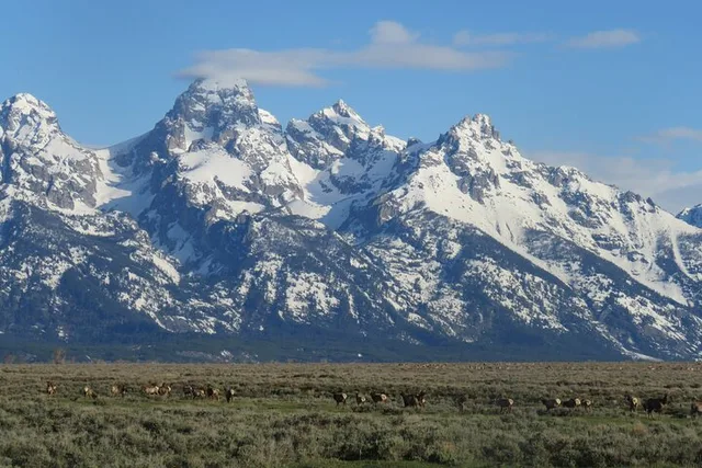 Jackson Hole Private Sunrise Tour - Image 6