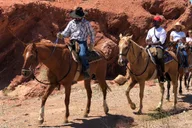 Las Vegas Horseback Riding with Breakfast 2 hr thumbnail 1