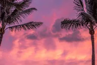 West Palm Beach Beach Day with Cabana thumbnail 3