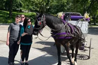 New York City Central Park Horse Carriage Tour thumbnail 1