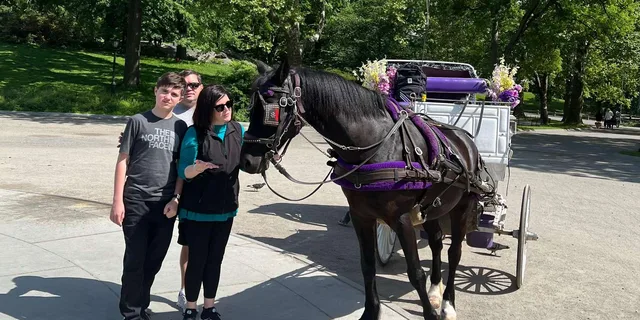 New York City Central Park Horse Carriage Tour - Image 1