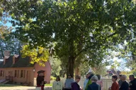 Williamsburg Colonial History Walking Tour thumbnail 2