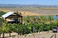San Francisco Wine Tour with 2 Tastings Half-Day thumbnail 4