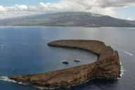 Maui Molokini Crater Snorkeling Tour 2 hr thumbnail 3