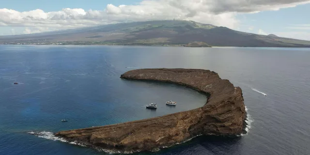 Maui Molokini Crater Snorkeling Tour 2 hr - Image 3