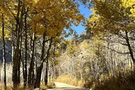 Denver Guided Hike in Rocky Mountain National Park thumbnail 3