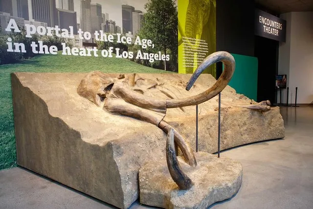 Los Angeles La Brea Tar Pits Excavator Tour 2 hr - Image 4