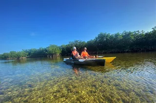 Key Largo Mangrove Tunnel Kayak Adventure