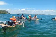 Sarasota Glass Bottom Kayak Tour thumbnail 4
